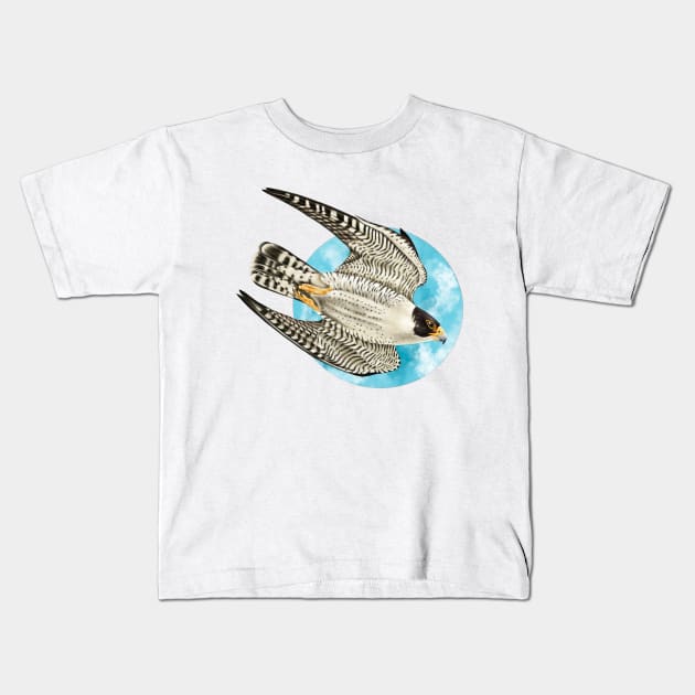 Peregrine Falcon in Flight Kids T-Shirt by Seven Sirens Studios